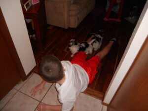 A child in white shirt and red shorts lies on the floor near two small dogs while another person is partially visible in the background.