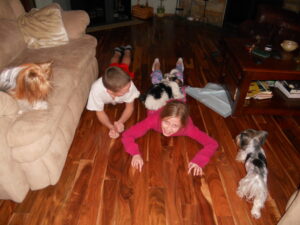 Two children are lying on a wooden floor with small dogs around them. One child is patting a dog, while two other dogs are nearby.