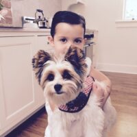 A child holding a small, fluffy dog in a kitchen with white cabinets and wooden floors.