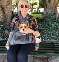 A woman wearing sunglasses sits on a green bench, holding a small dog inside a gray pet carrier.