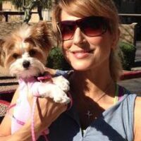 A person wearing sunglasses holds a small dog outdoors on a sunny day.